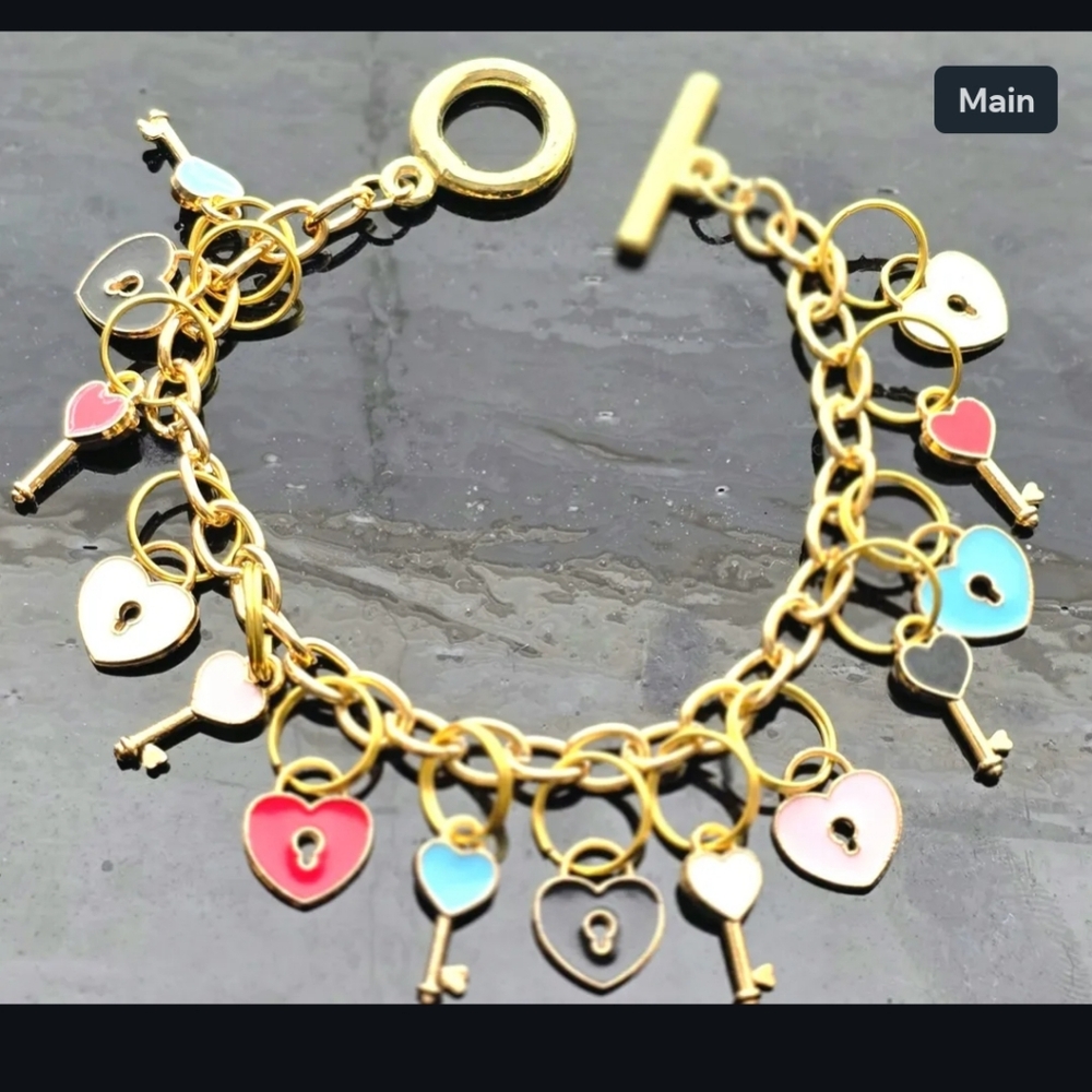 Stainless Steel charm bracelet